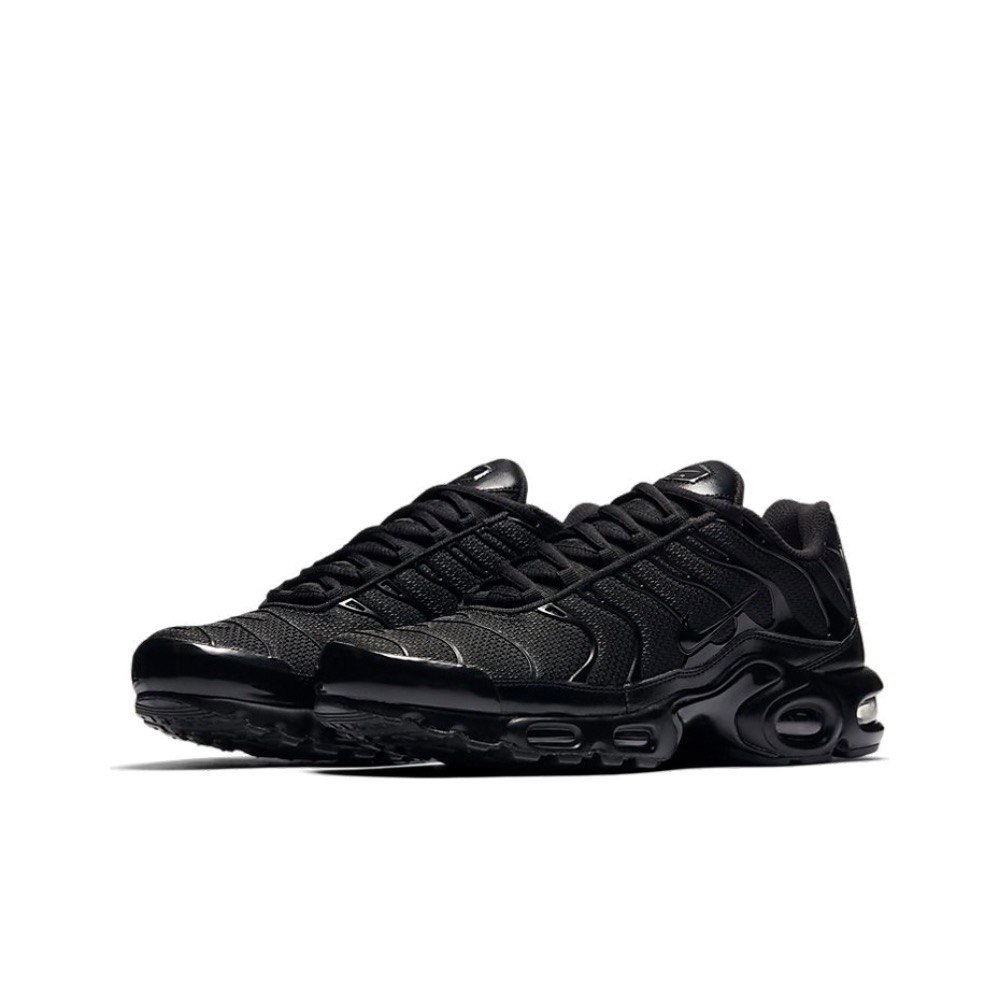 Nike Air Max Plus (604133-050)