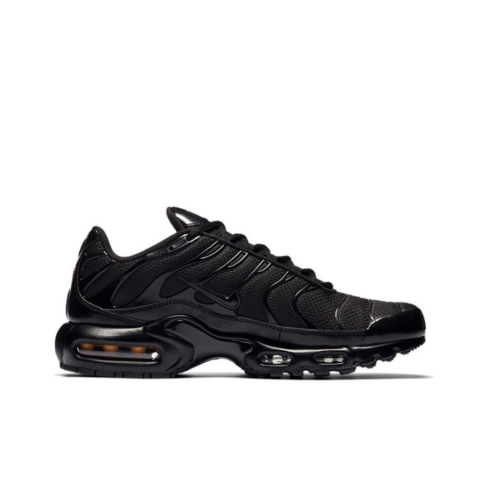 Nike Air Max Plus (604133-050)