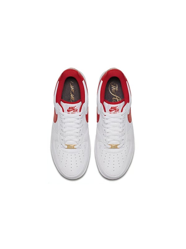 Кроссовки Nike Air Force 1 Low Think 16 Fo Fi Fo AQ5107-100