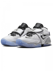 Для баскетбола Nike Air Adjust Force Vast Grey Metallic Silver Women's DV7409-100