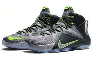 Для баскетбола Nike LeBron 12 Dunk Force 684593-001