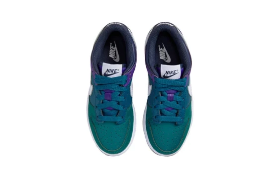 Nike Dunk Anti Slip Wear Resistant Low Top Kids' Skateboarding Shoes Purple White HQ1185-161