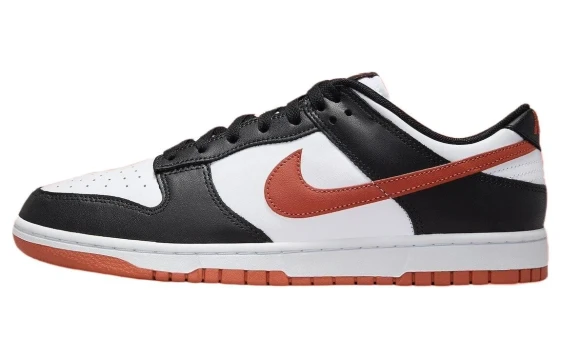 Nike Dunk Low 'Terry Swoosh' Women's DZ4706-200