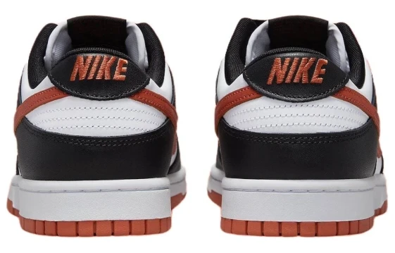 Nike Dunk Low 'Terry Swoosh' Women's DZ4706-200