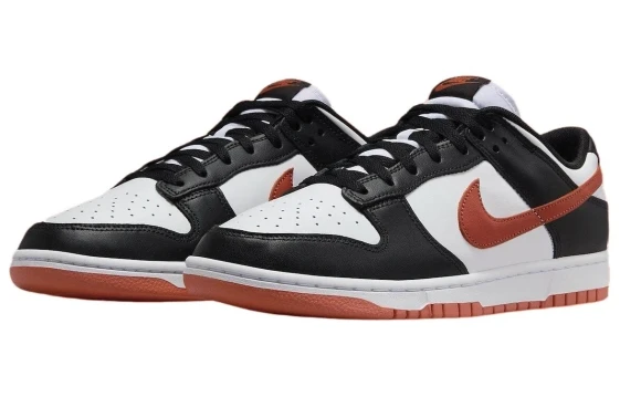 Nike Dunk Low 'Terry Swoosh' Women's DZ4706-200