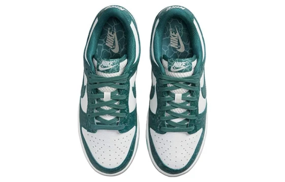 Nike Dunk Low 'Terry Swoosh' Women's DZ4706-200