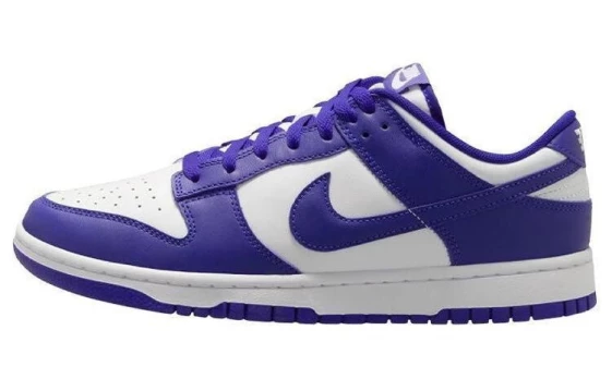 Для треккинга Nike Dunk Low Concord DV0833-103