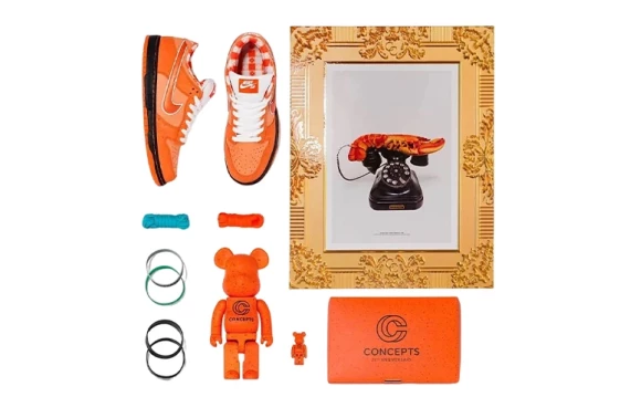 Для треккинга Nike SB Dunk Low Concepts Orange Lobster Special Box FD8776-800(S-Box)