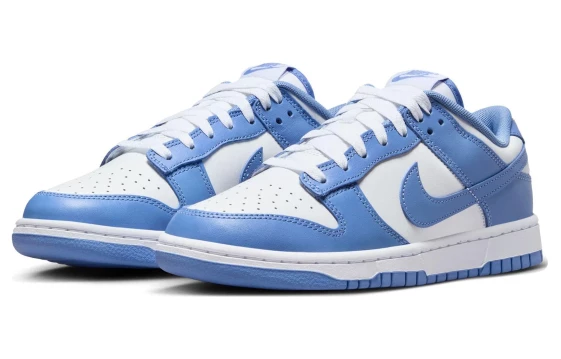 Для треккинга Nike Dunk Low Polar Blue DV0833-400