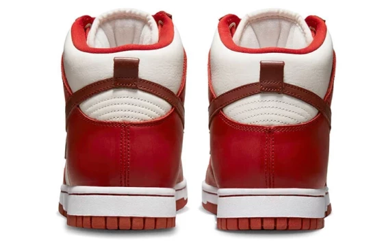 Для треккинга Nike Dunk High Lxx Cinnabar Women's DX0346-600