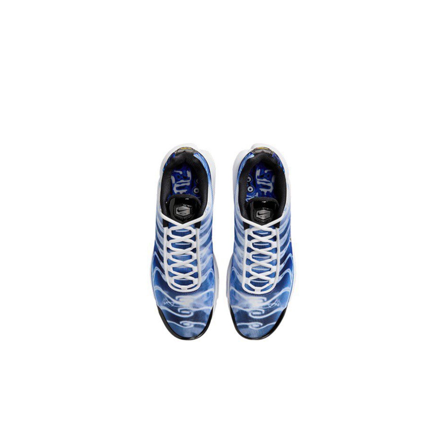 Nike Air Max Plus "Light Photography" (DZ3531-400)