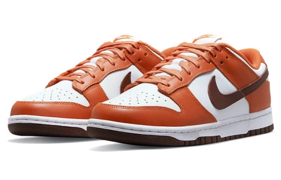 Для треккинга Nike Dunk Low Bronze Eclipse Women's DQ4697-800