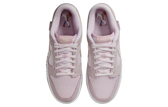 Для треккинга Nike Dunk Low Teddy Bear Women's DZ5318-640