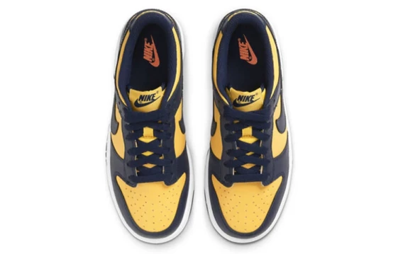 Для треккинга Nike Dunk Low Michigan 2021 DD1391-700