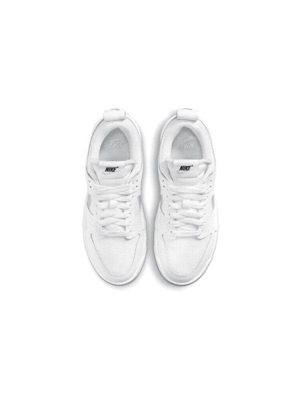 Кроссовки Nike Dunk Low Disrupt White Silver Women's DJ6226-100