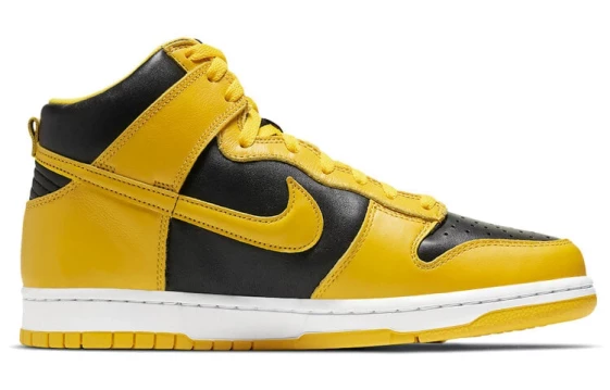 Для треккинга Nike Dunk High Iowa 2020 CZ8149-002