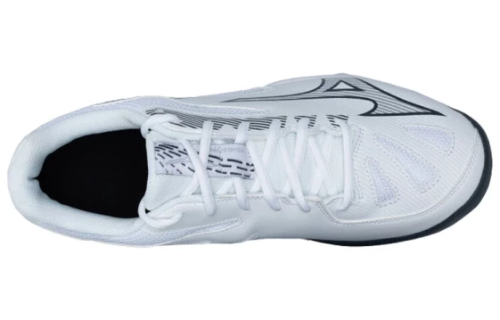 Кроссовки Mizuno Gate Sky Plus 3 Wide 'White Ombre Blue' 71GA234021