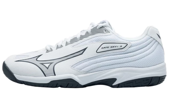 Кроссовки Mizuno Gate Sky Plus 3 Wide 'White Ombre Blue' 71GA234021