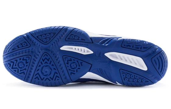 Кроссовки Mizuno Gate Sky Plus Blue/White 71GA204001