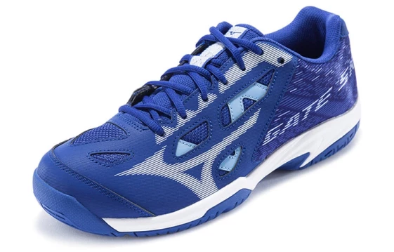 Кроссовки Mizuno Gate Sky Plus Blue/White 71GA204001