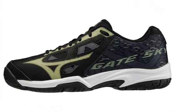 Кроссовки Mizuno Gate Sky Plus Ii 'Black' 71GA204045