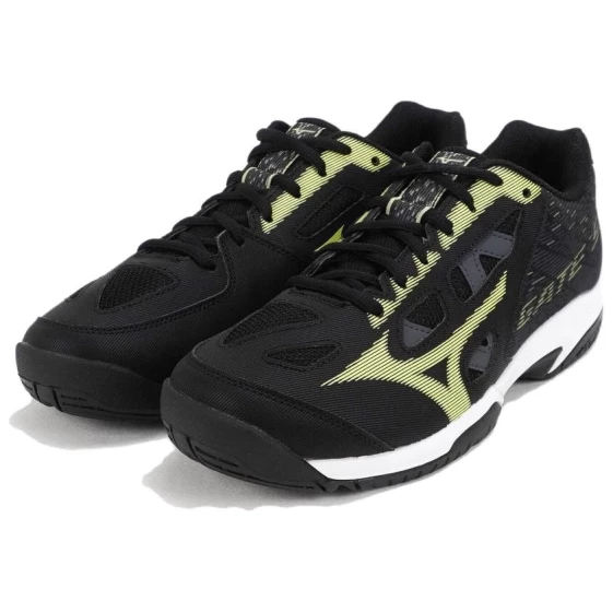 Кроссовки Mizuno Gate Sky Plus Ii 'Black' 71GA204045