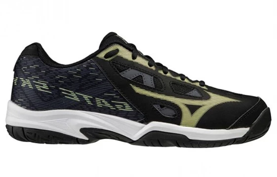 Кроссовки Mizuno Gate Sky Plus Ii 'Black' 71GA204045
