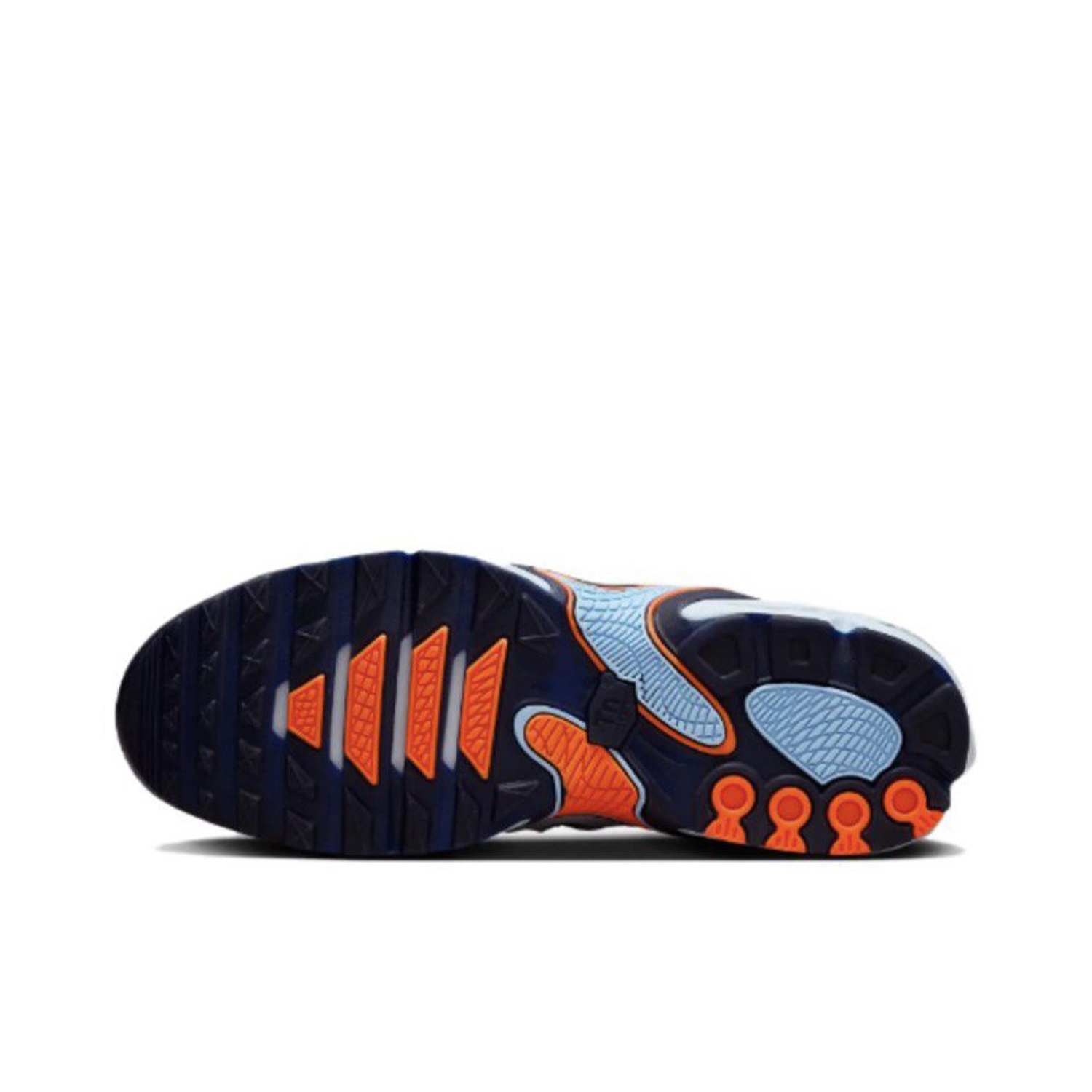 Nike Air Max Plus Drift TPU (FD4290-004)