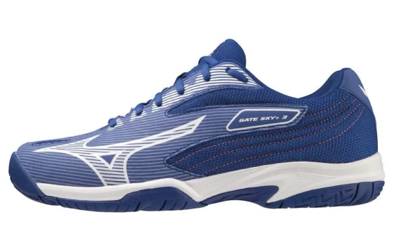 Кроссовки Gate Sky Mizuno Plus 3 Wide 'Surf The Web' 71GA234026