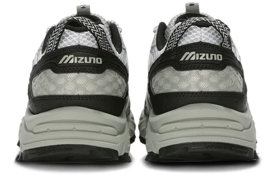 Кроссовки Mizuno Fiyi Tl 'Wheat Beige Black' D1GH240904