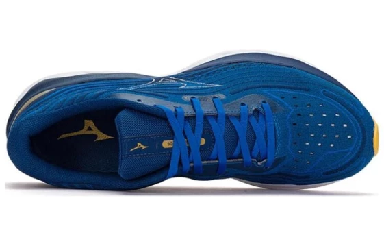 Для бега Mizuno Wave Skyrise 4 'Blue' J1GC230903