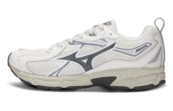 Для бега Mizuno Wave Rider 10 'White Grey' D1GH240603