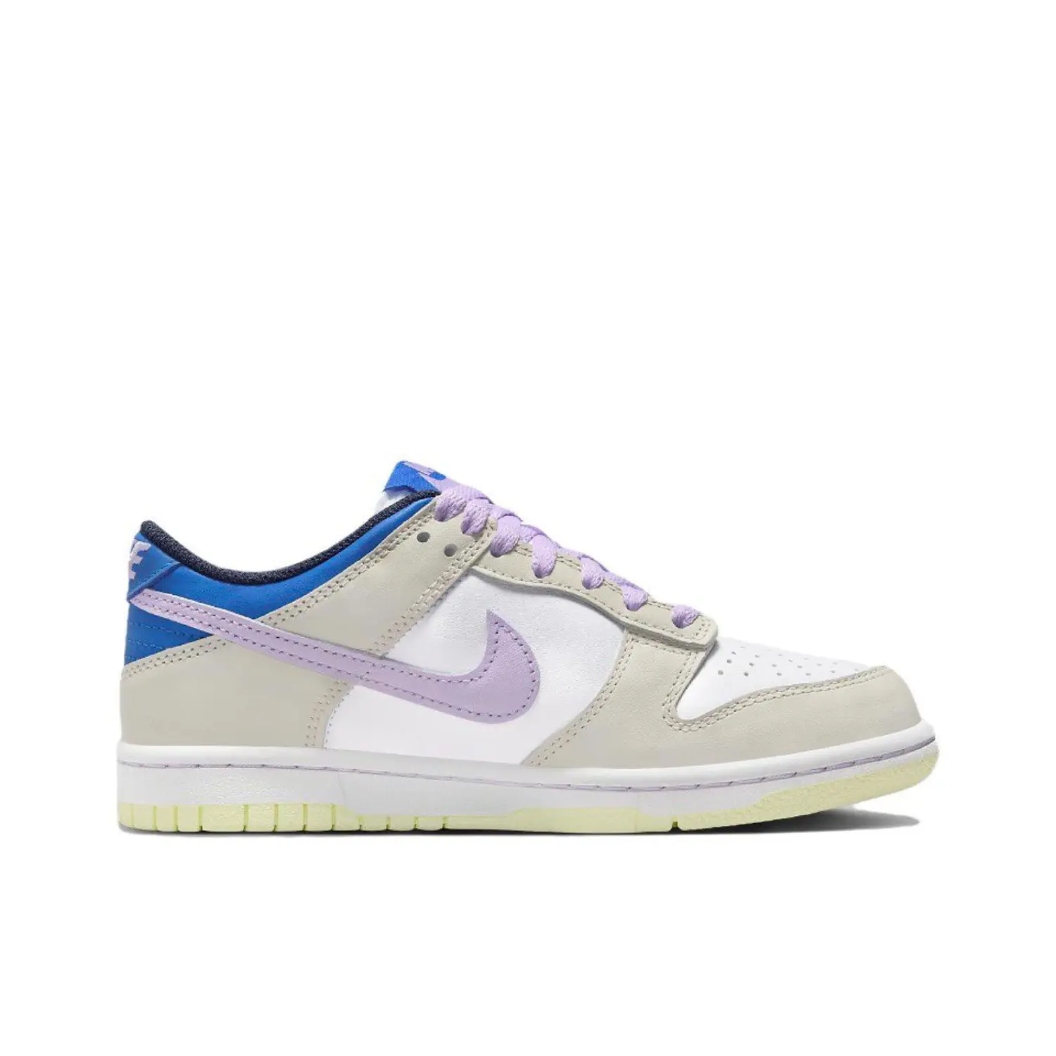 Nike Dunk Low (FB9109-103)