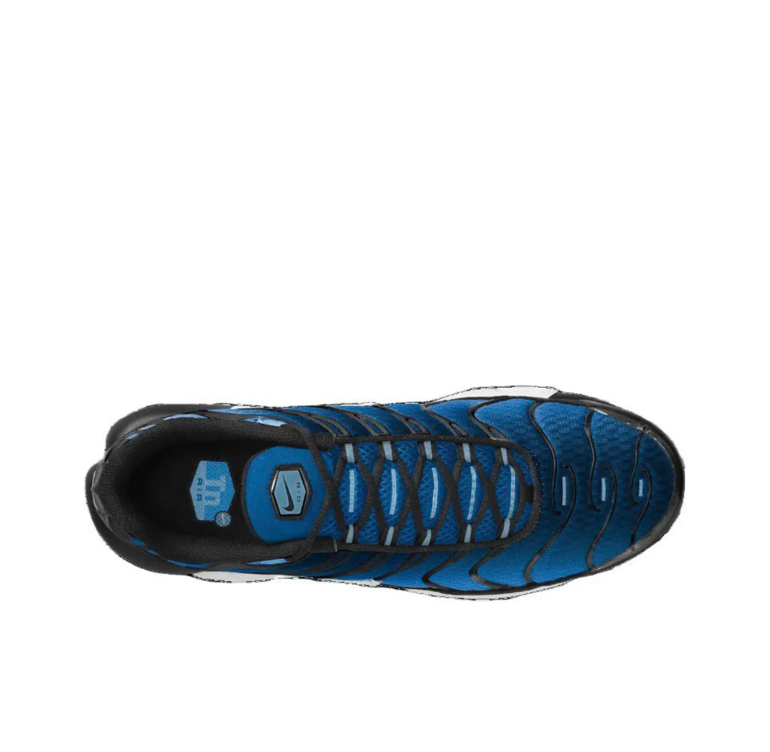 Nike Air Max Plus "Aquarius Blue" (DM0032-402)