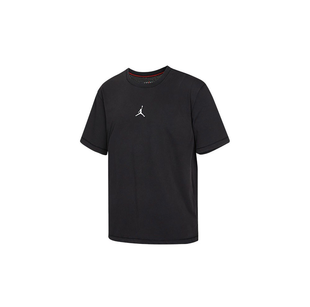 Мужская футболка Jordan Logo DRI-FIT (DH8922-010)