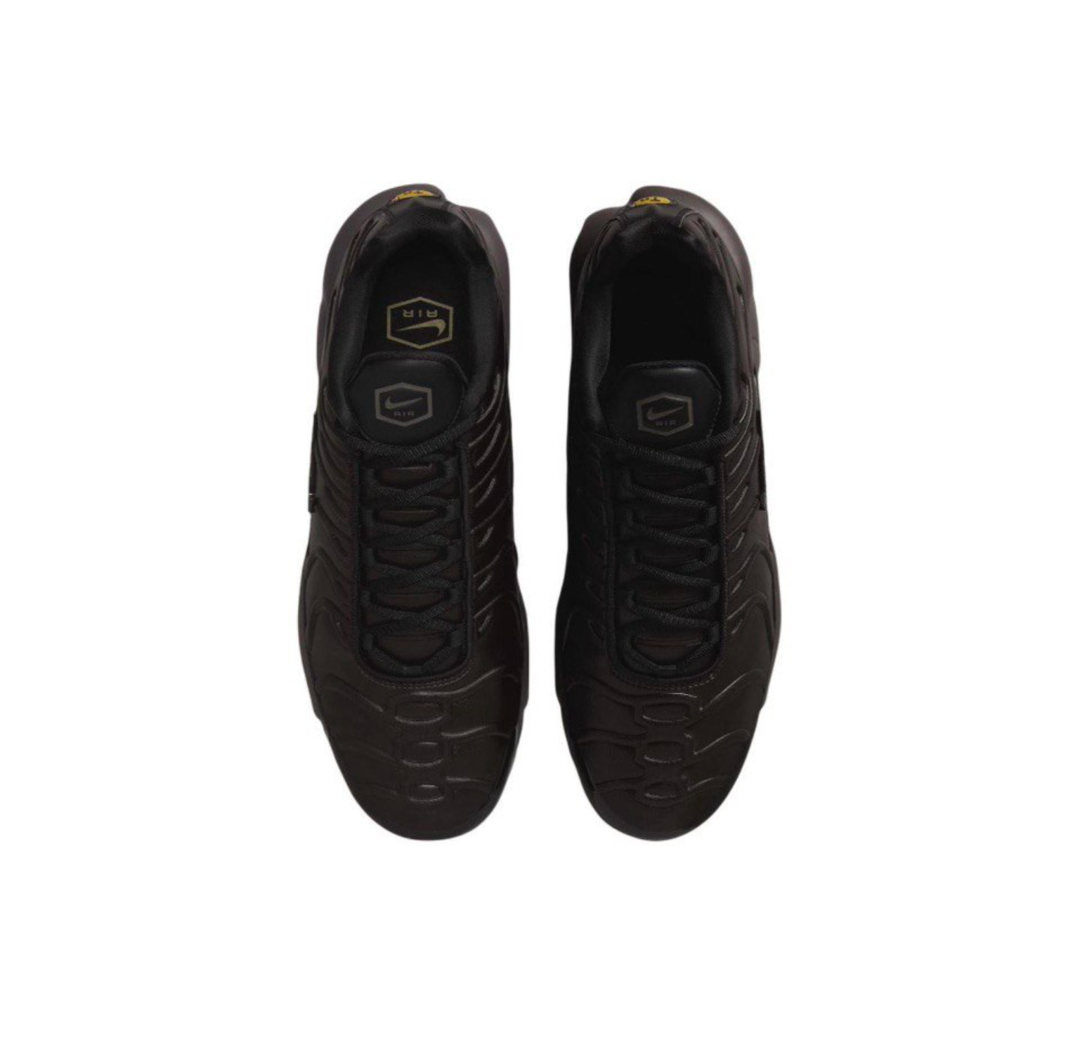 Nike Air Max Plus Black Tea (HJ4519-200)