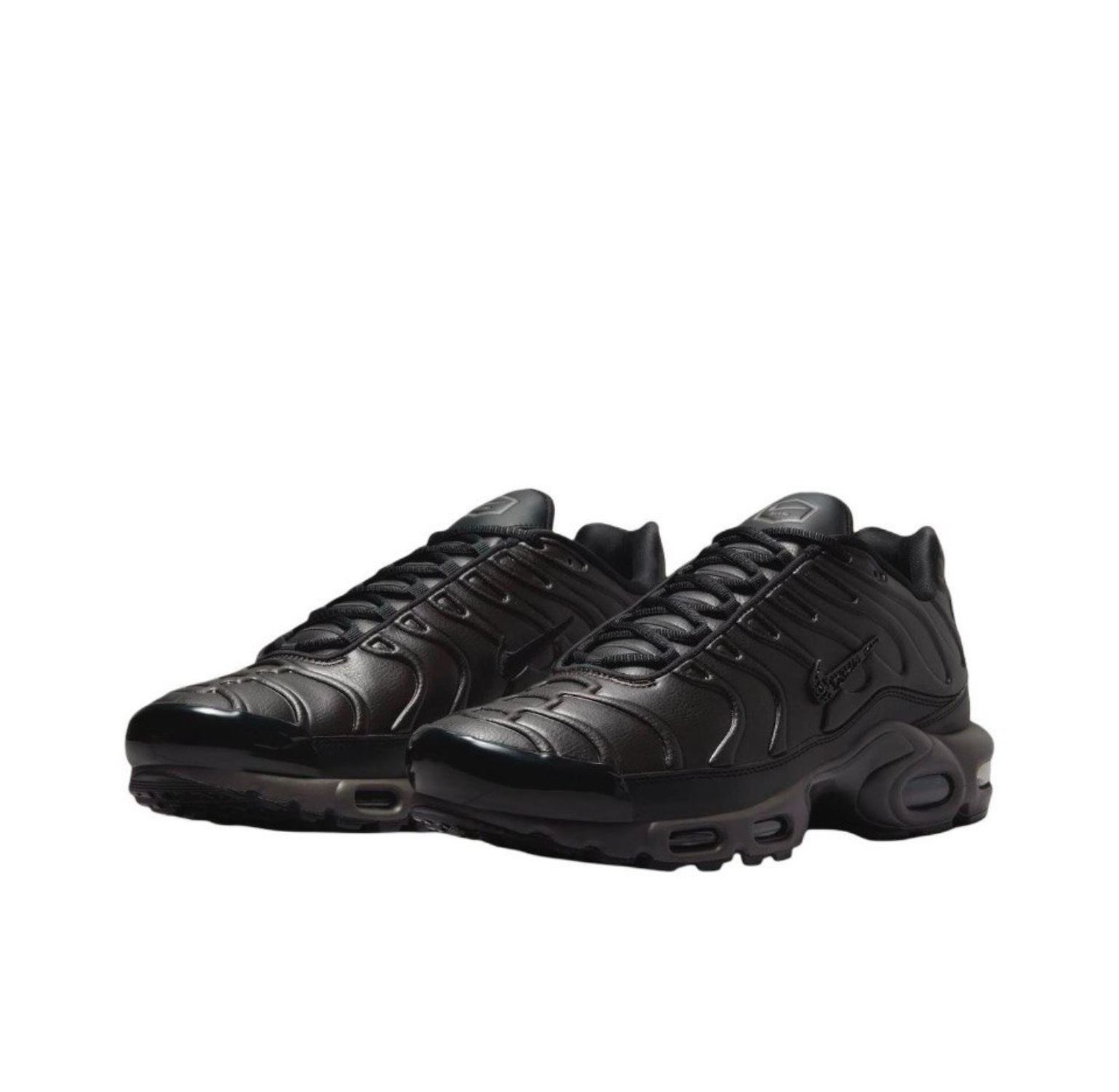 Nike Air Max Plus Black Tea (HJ4519-200)