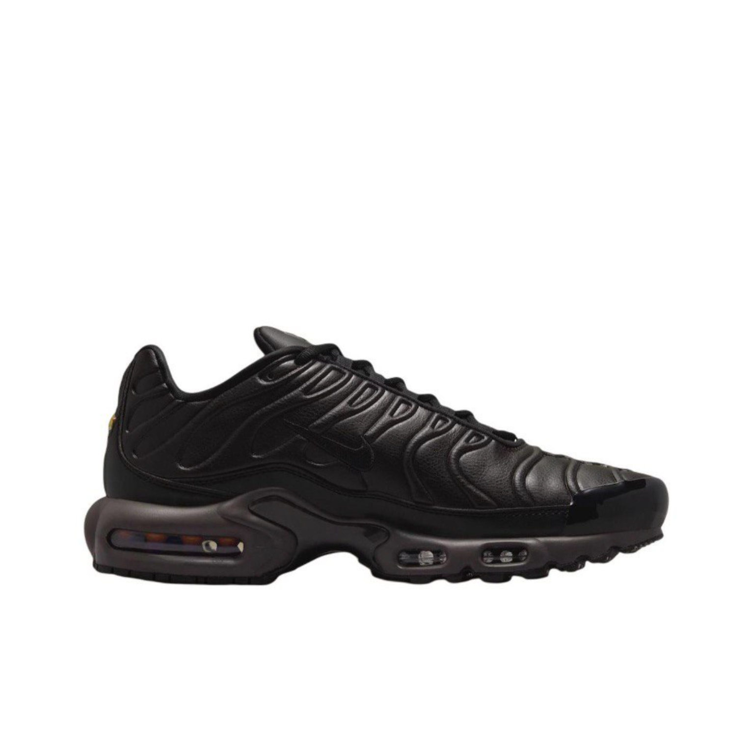 Nike Air Max Plus Black Tea (HJ4519-200)