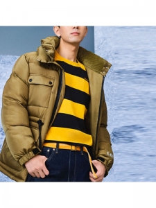 Пуховик мужской повседневный Levi's 5401039098801