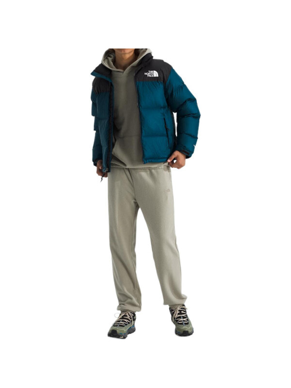 Куртка утепленная мужская повседневная The North Face 1996 Retro Nuptse 700 Fill Packable Jacket