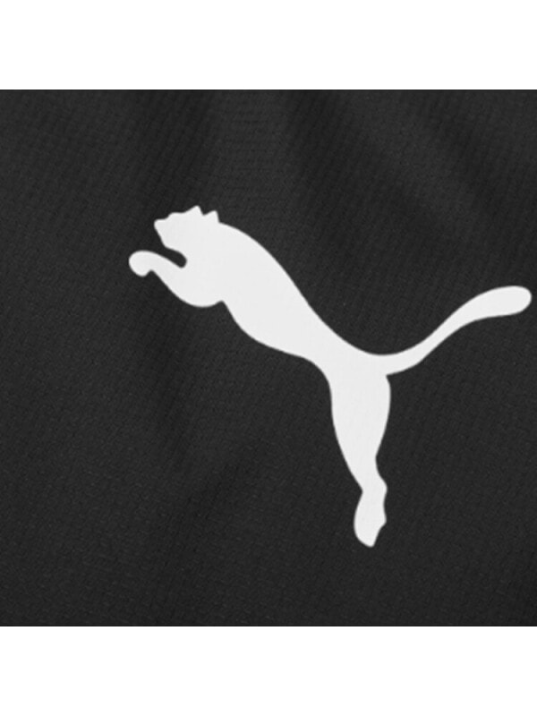 Куртка зимняя мужская для холодной погоды Puma 4064535225136