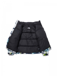 Куртка утепленная мужская для холодной погоды The North Face 1996 Retro Nuptse 700 Fill