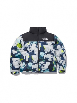 Куртка утепленная мужская для холодной погоды The North Face 1996 Retro Nuptse 700 Fill