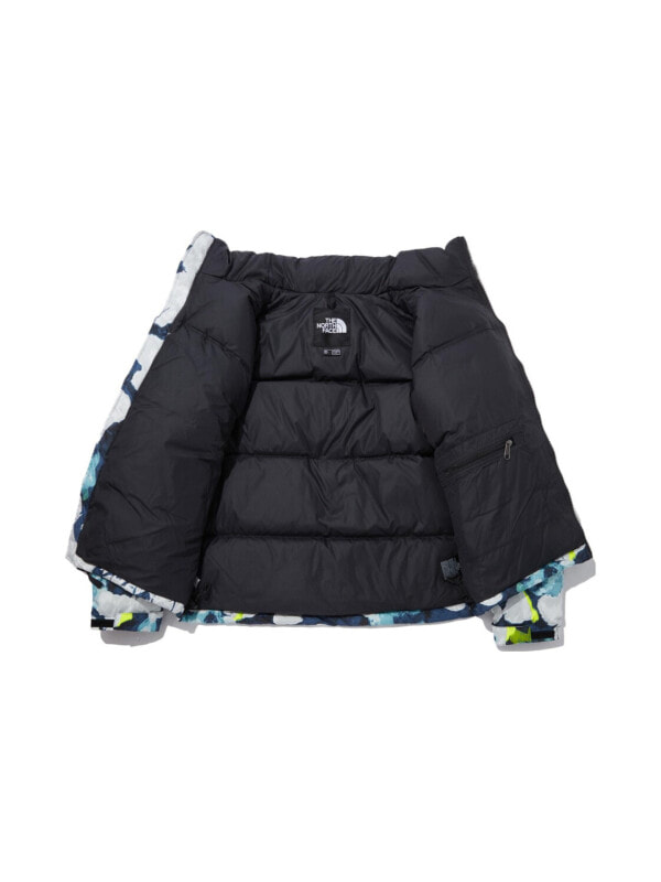 Куртка утепленная мужская для холодной погоды The North Face 1996 Retro Nuptse 700 Fill