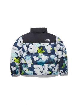 Куртка утепленная мужская для холодной погоды The North Face 1996 Retro Nuptse 700 Fill