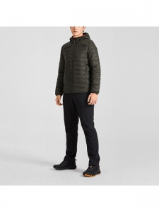 Пуховик мужской утепленный для повседневной носки The North Face 195440108635