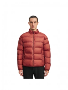 Пуховик мужской повседневный Uniqlo 2000168662070