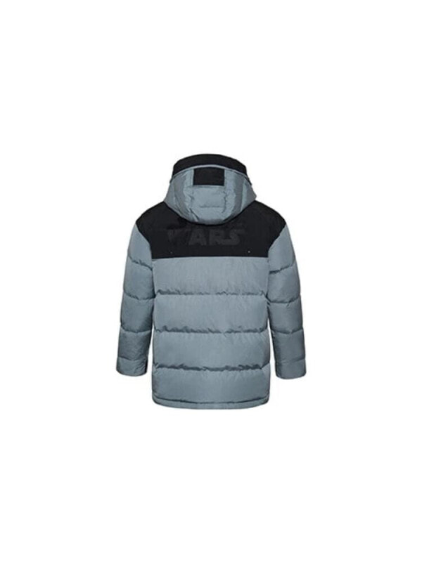 Пуховик мужской зимний LiNing 6911129173329