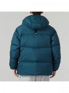 Куртка утепленная мужская для повседневной носки Adidas 4066759432079