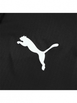 Пуховик мужской для повседневной носки Puma 4067982752187